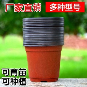 简易加厚双色花盆一次性塑料花盆大号培育盆
