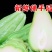 佛手瓜、样瓜.新鲜蔬菜