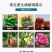 星牌弯月戊唑多菌灵腐烂病黑星病白粉病白腐病炭疽病叶斑病