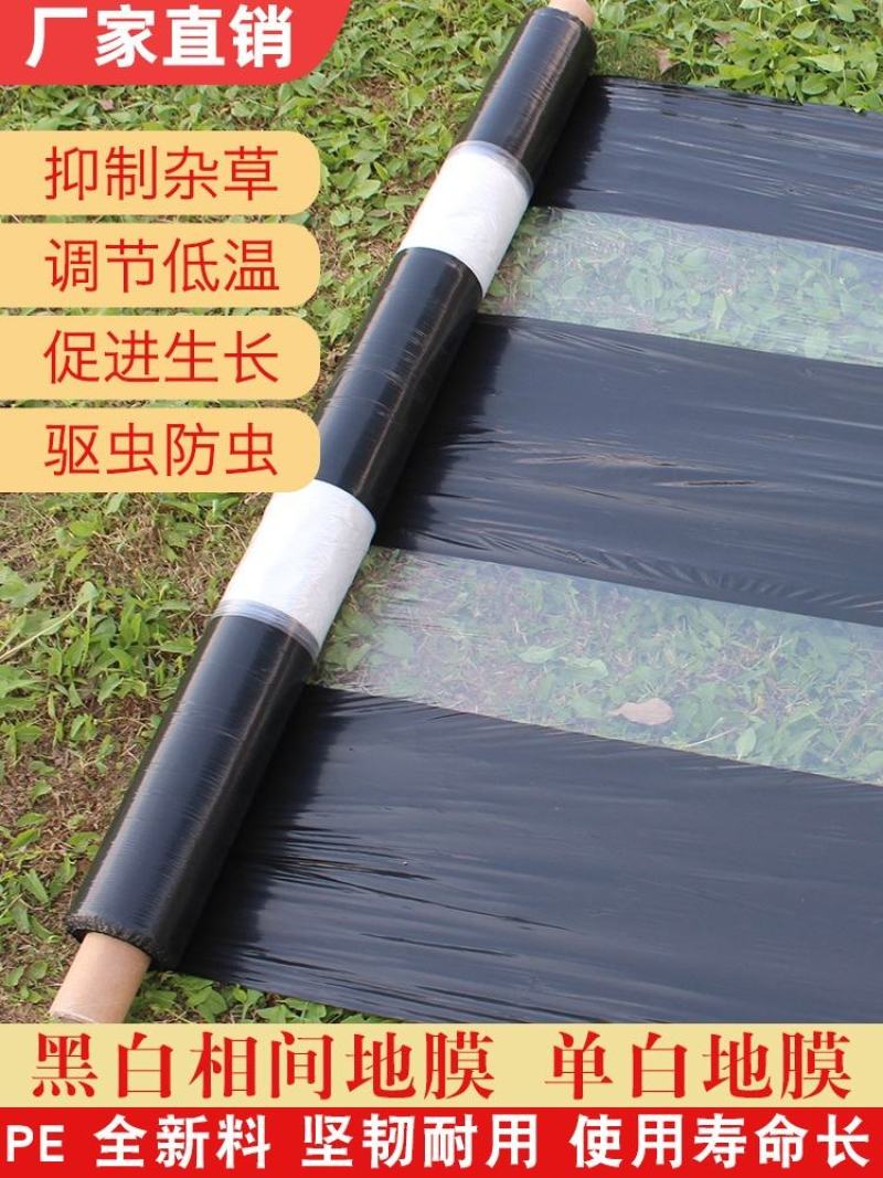 农用黑白相间地膜除草地膜黑色单白双白保湿地膜保温膜加厚保
