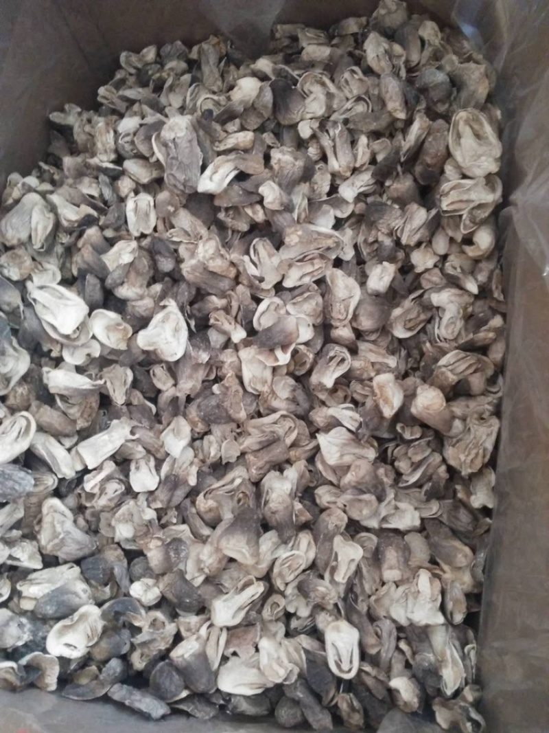 特级草菇5~6cm以上精品好货多种等级规格