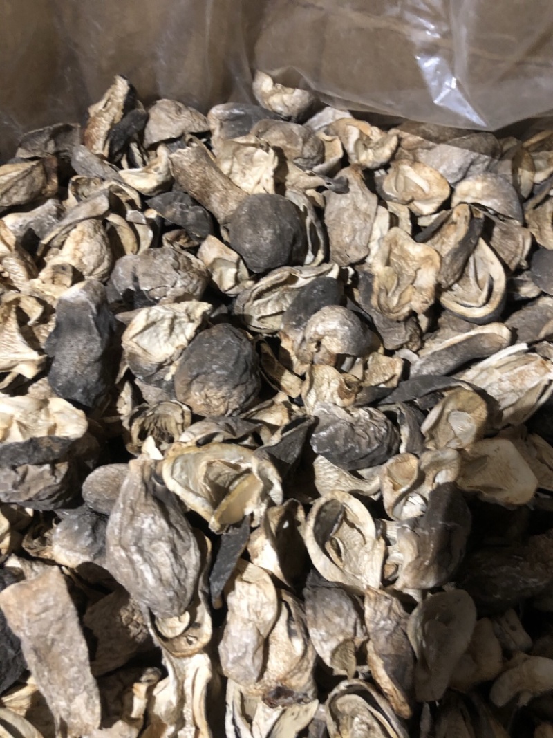 特级草菇5~6cm以上精品好货多种等级规格
