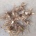 白芨批发量大从优精品之选一手货源保障