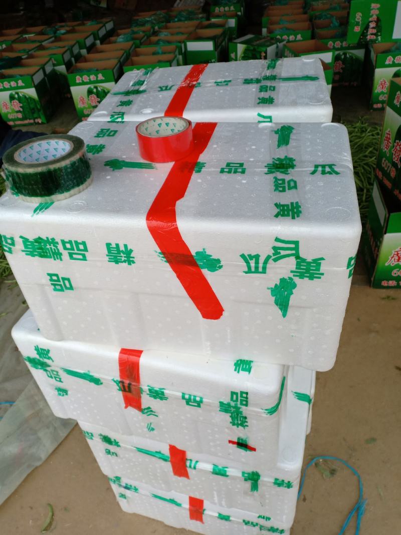精品油亮条黄瓜大量上市中。。。。。。。。。。。