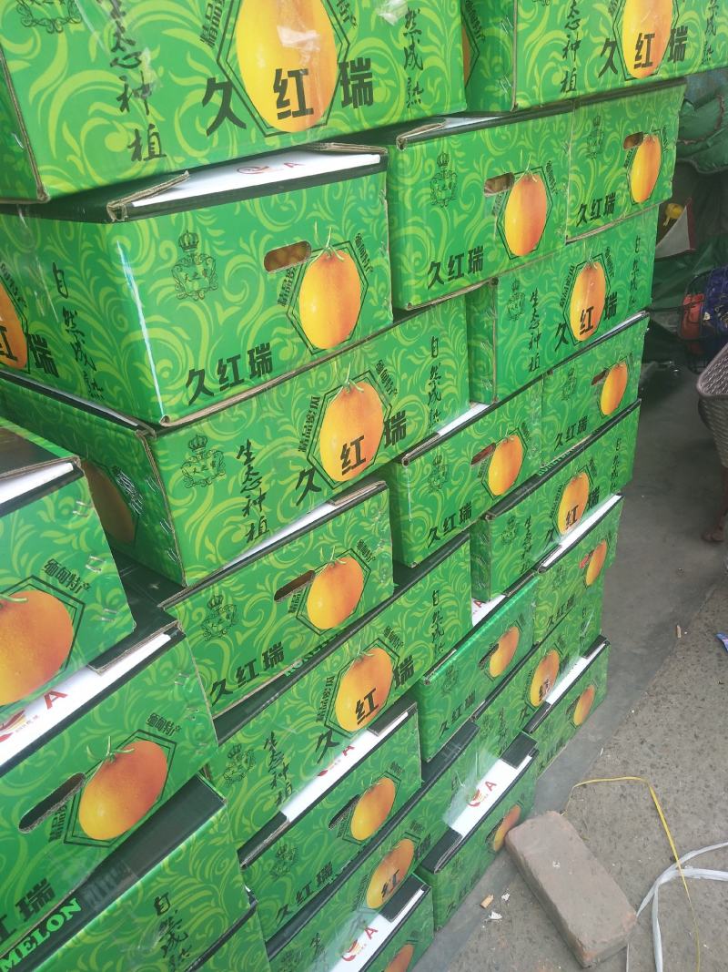 久红瑞(甜瓜香瓜)，是一种厚皮吊秧甜瓜，皮毛漂亮口感很好