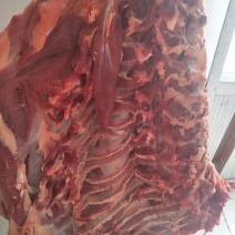 清真鲜牛肉（当天屠宰）
