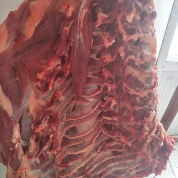 清真鲜牛肉（当天屠宰）