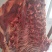 清真鲜牛肉（当天屠宰）