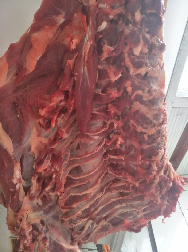 清真鲜牛肉（当天屠宰）