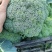 西蓝花，颜色青秀，中米粒，三指根，价格合适，量大