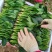 山东省高青县万亩拱棚菠菜大量上市