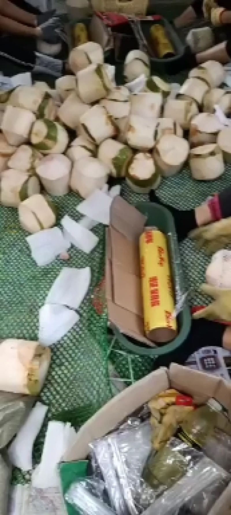 海南文昌东郊椰林椰子批发