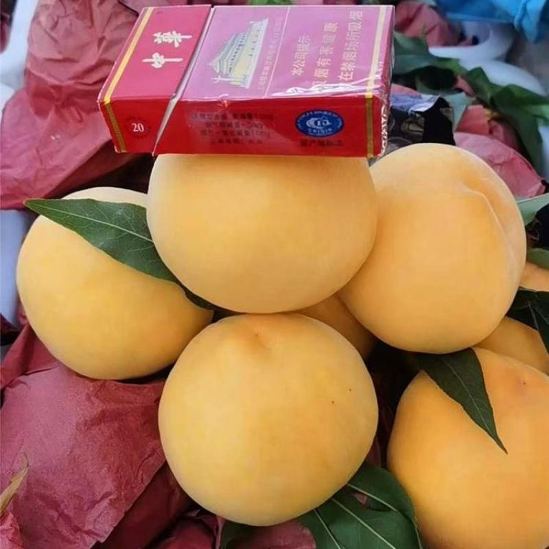 黄金蜜桃4号【自己家苗圃基地培育的苗子】品种纯正