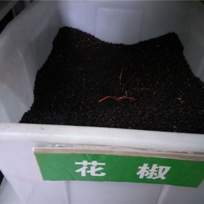 花椒种子山椒红椒麻椒大红袍花椒种子川花椒树刺篱笆
