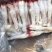 羊蹄，羊蹄，干净，大小均匀产品感兴趣的欢迎光临！