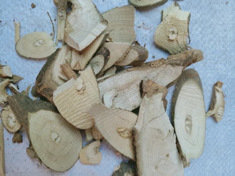 臭梧桐，臭梧桐根片质量保证，经营各种中药材欢迎咨询合作！