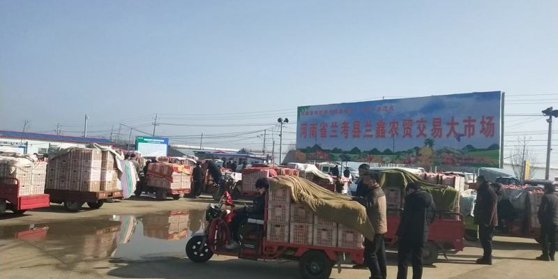 西红柿硬粉价格公道欢迎购买欢迎随时来电