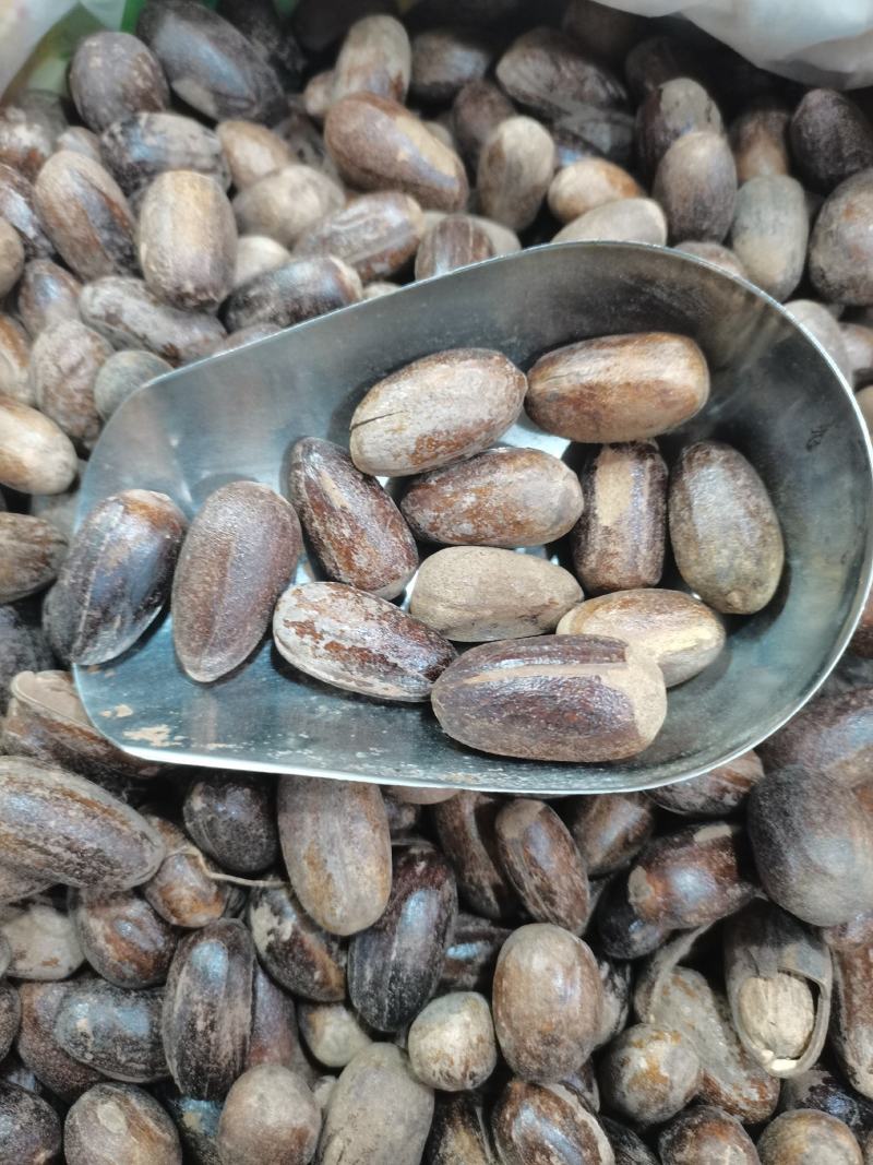 长香果，圆香果，大货供应，批零兼营，