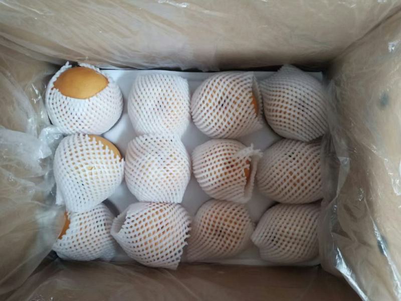 丰水梨，口感甜，水分足，个头大