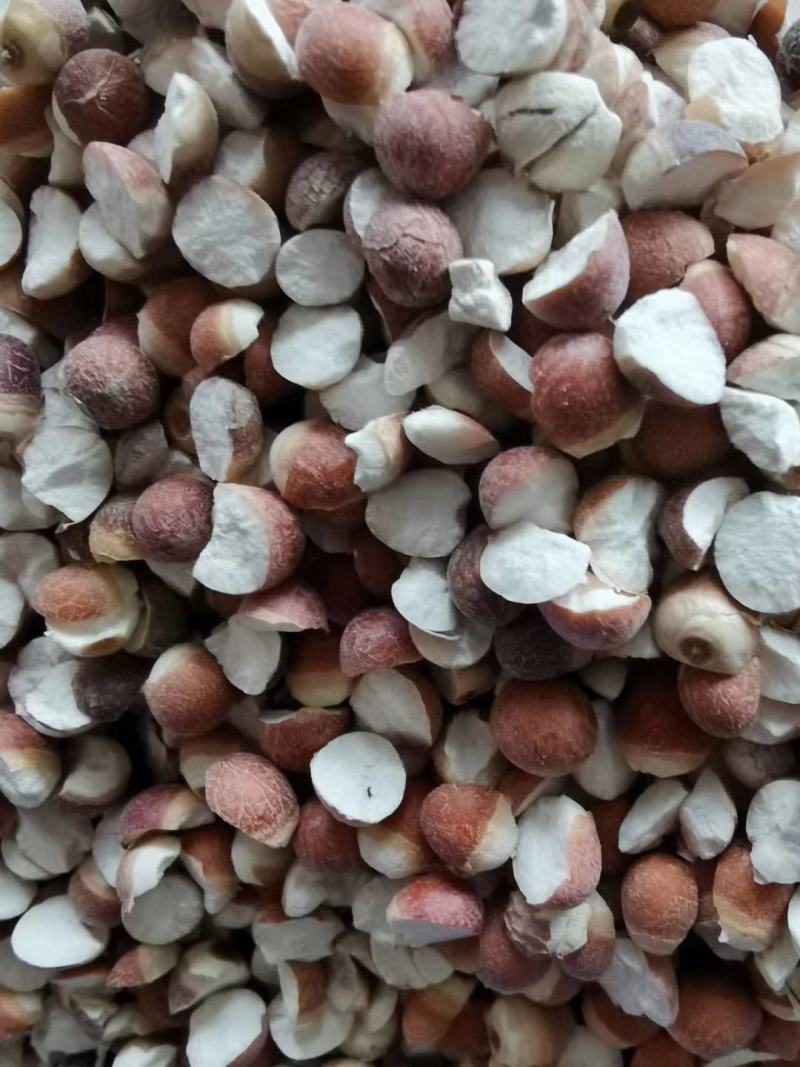 江西余干开边芡实新货无硫各规格齐全大货供应批零兼营.