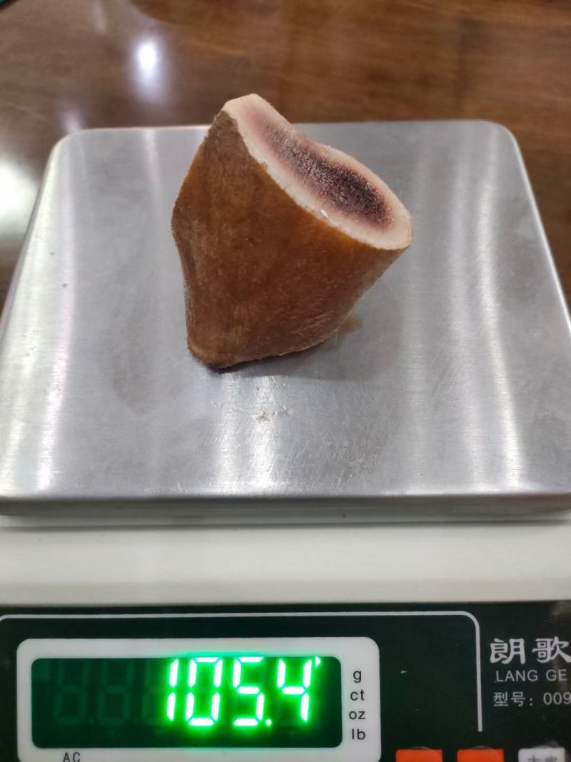 新鲜鹿茸头，鹿茸中断，鹿茸根，鹿茸碎片，非常嫩，非常实惠