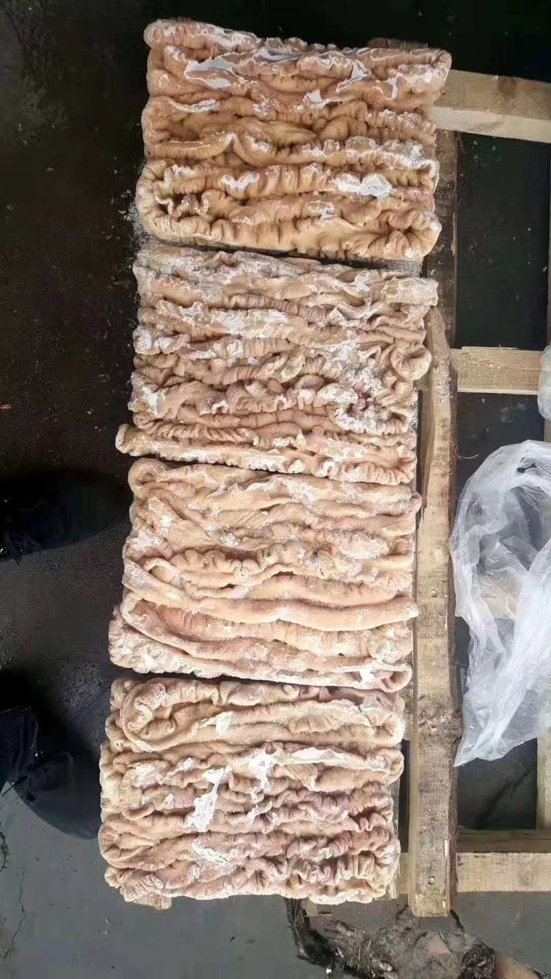 纯干大肠，猪大肠，半成品大肠，处理的很干净