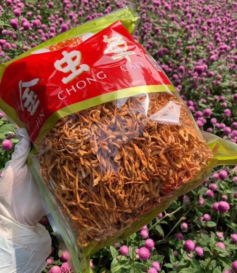 东北虫草花长条排草，新货无硫颜色好大量供应，批零兼营