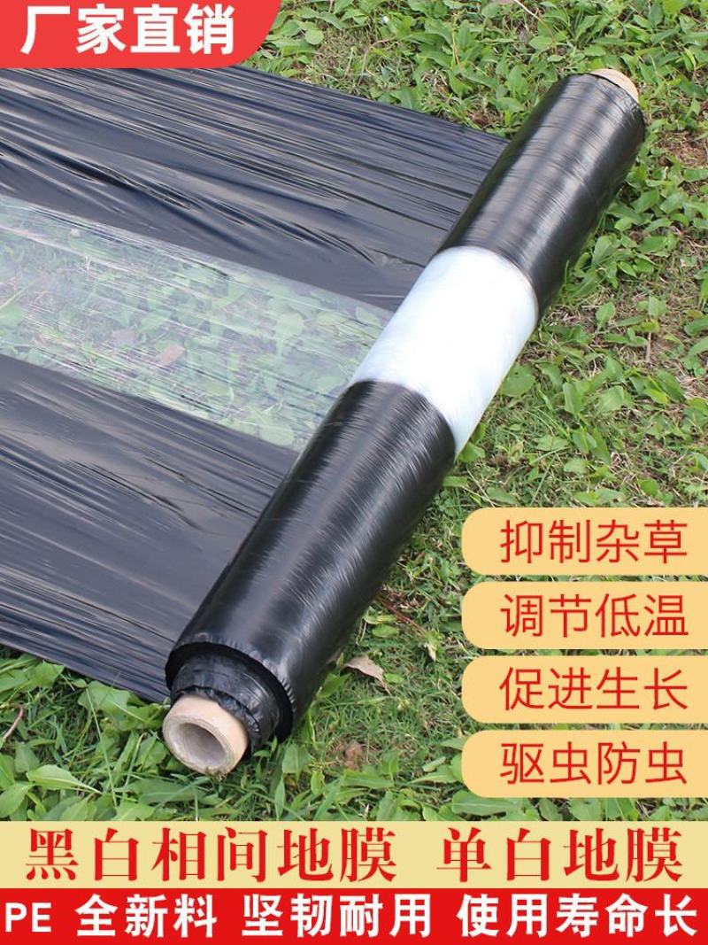 黑白相间地膜双白单白种植蔬菜药材建筑膜农用地膜