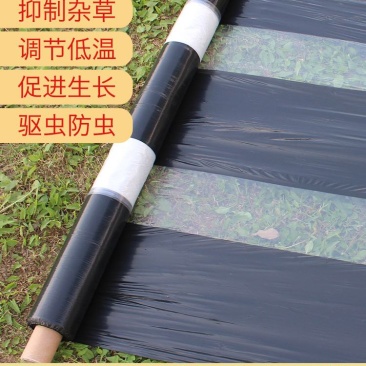 黑白相间地膜双白单白种植蔬菜药材建筑膜农用地膜