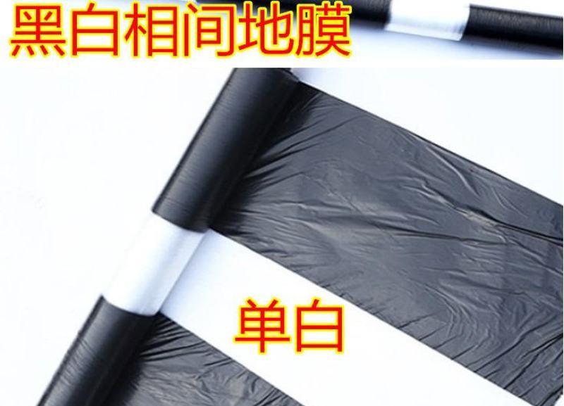 黑白相间地膜双白单白种植蔬菜药材建筑膜农用地膜