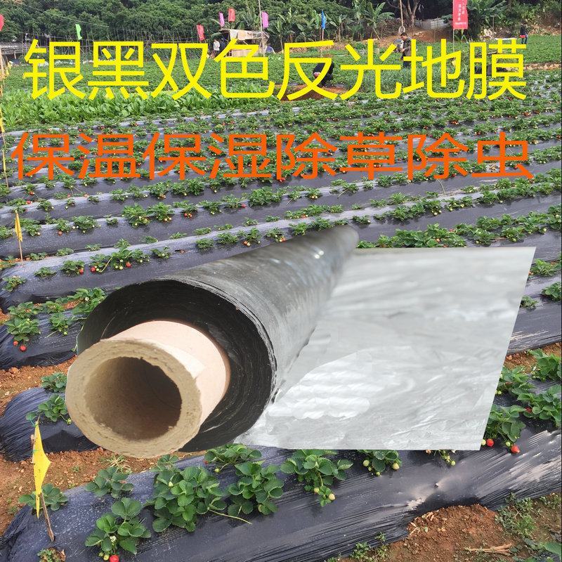 黑白相间地膜双白单白种植蔬菜药材建筑膜农用地膜