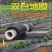 黑白相间地膜双白单白种植蔬菜药材建筑膜农用地膜