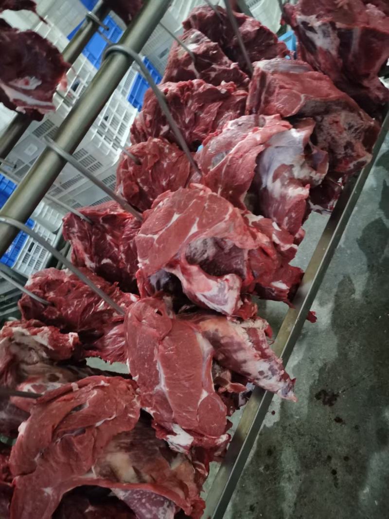 优质鲁西黄牛肉纯干新鲜量大优惠对接各级采购商