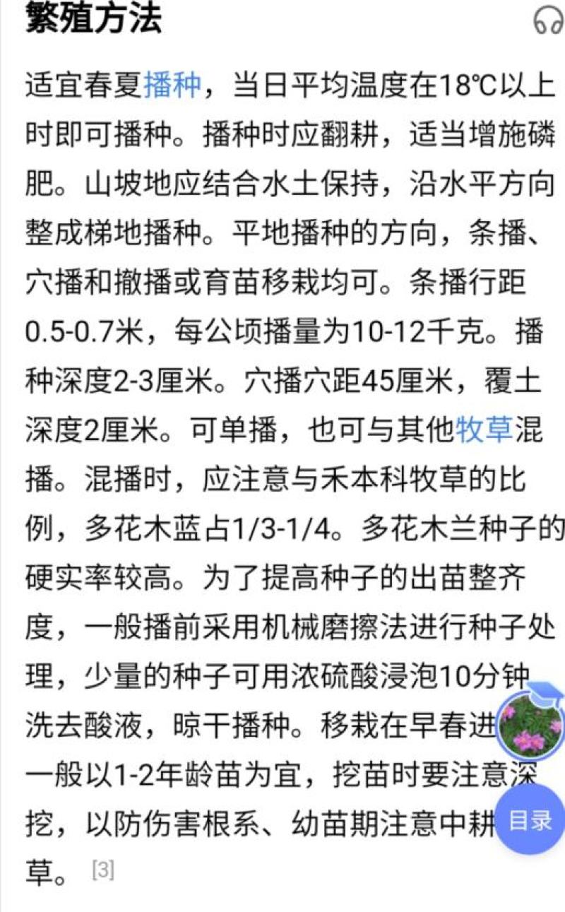 多花木兰灌木种子，护坡，绿化，养殖，多年生长