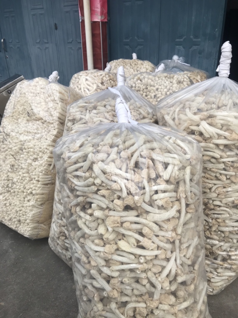 500克包装竹荪球/竹荪蕾/竹荪蛋，基地直发