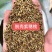紫穗槐灌木种子，可护坡，绿化，固林，防止水土流失
