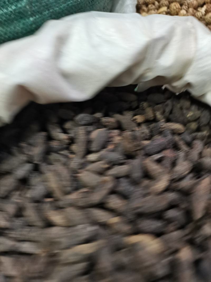 母丁新足干无硫，大货供应，批零兼营