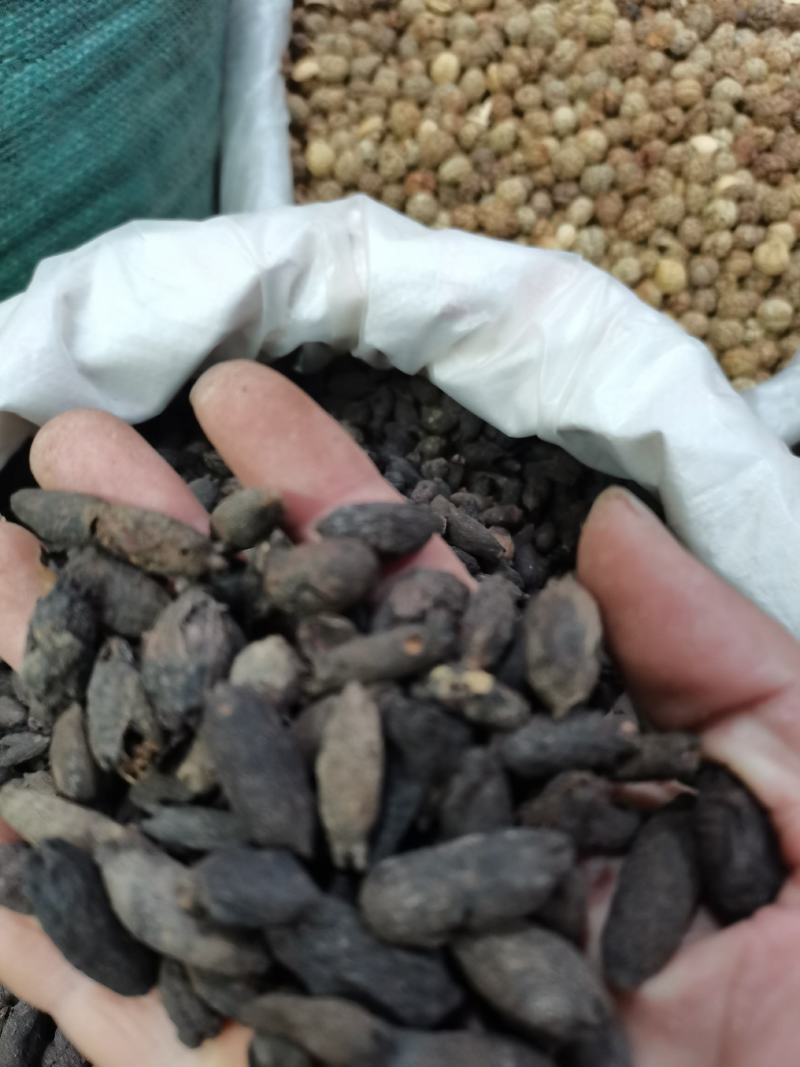 母丁新足干无硫，大货供应，批零兼营