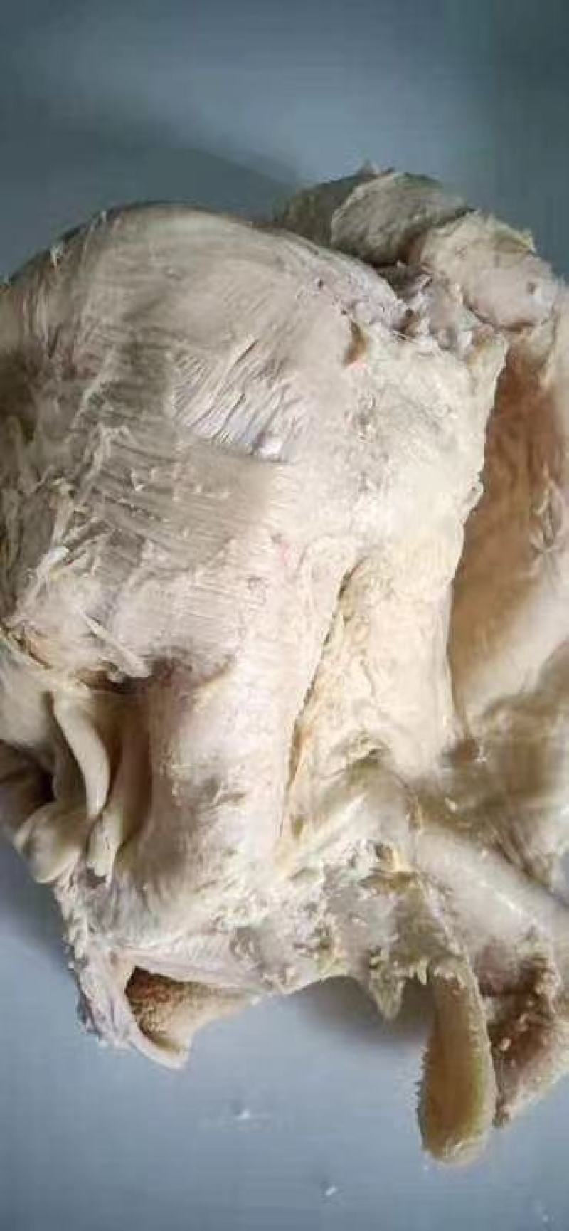 国产牛肚，办成品牛肚，水退熟牛肚随心定制