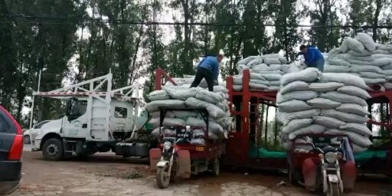 【厂家包邮】陕西兴平玉鸽辣椒石碾辣椒面二细香辣烤肉辣面