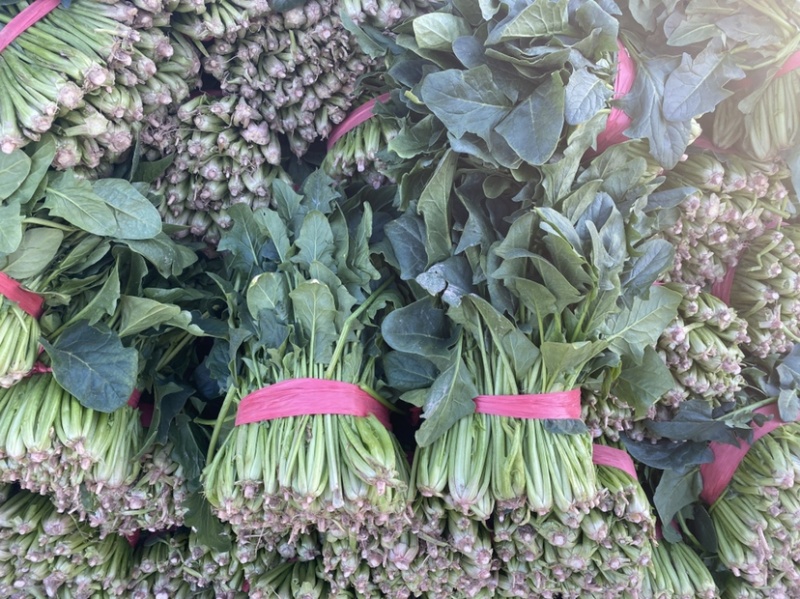 山东省聊城市万亩冷棚大叶菠菜，大量供应中