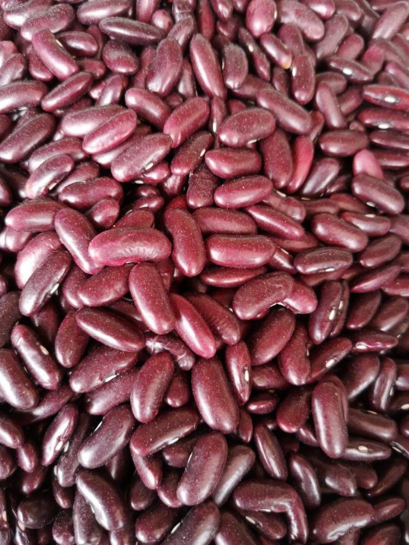 云南农家豆红腰豆白豆花豆红腰豆批发无霉豆无杂质容易熟