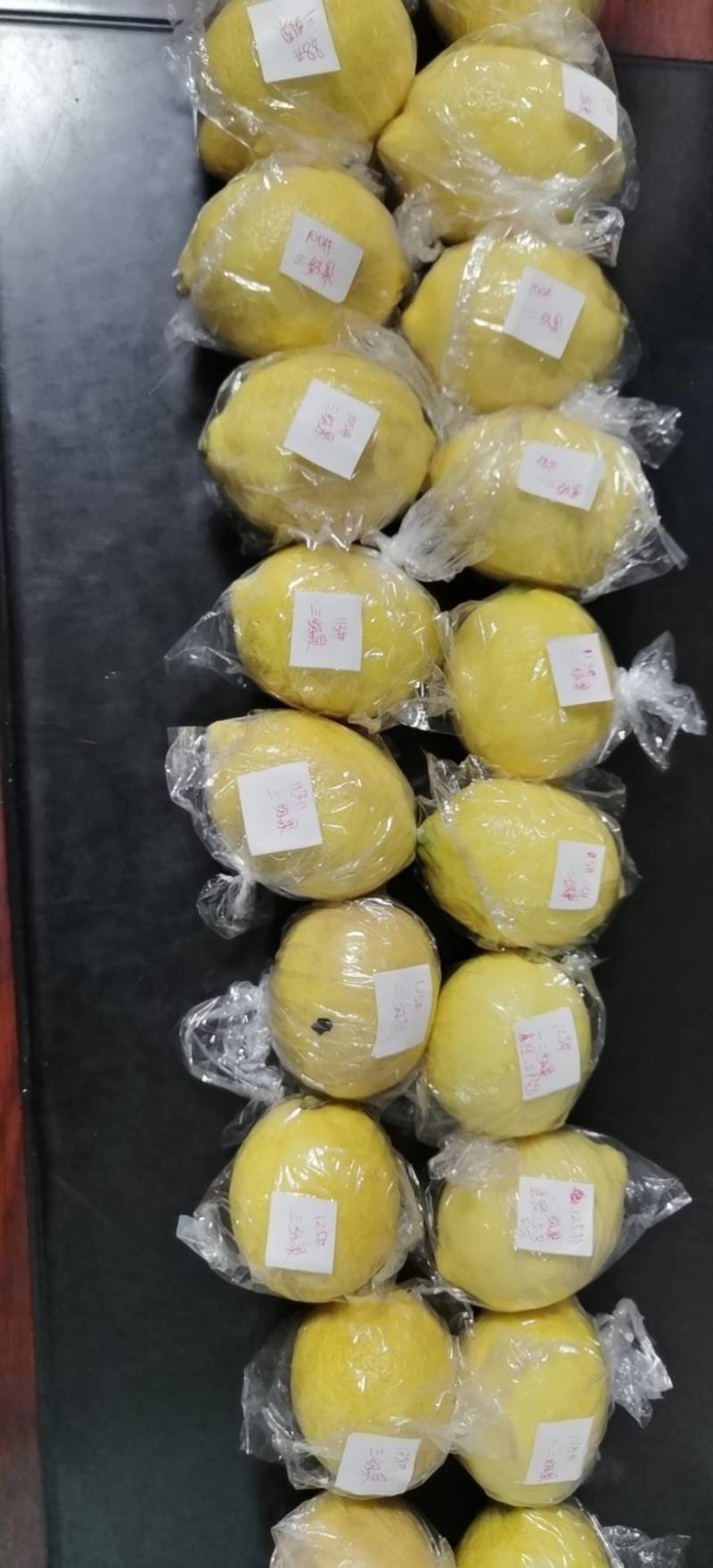 安岳县泓开柠檬（一手货源）无任何中介费，诚信赢天下