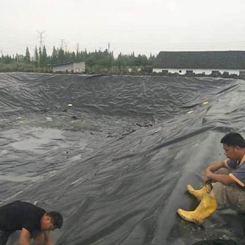 鱼池防渗膜土工膜鱼塘膜藕池专用膜池塘防水膜黑色塑料膜加厚