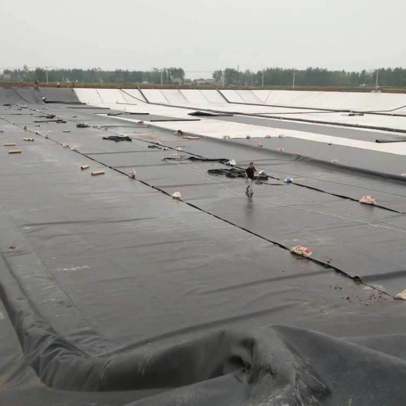 鱼池防渗膜土工膜鱼塘膜藕池专用膜池塘防水膜黑色塑料膜加厚