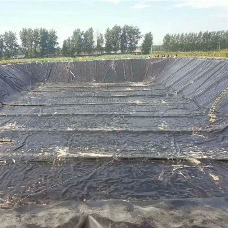 黑色防渗膜黑色塑料薄膜养殖膜鱼塘专用膜防渗膜加厚防水膜