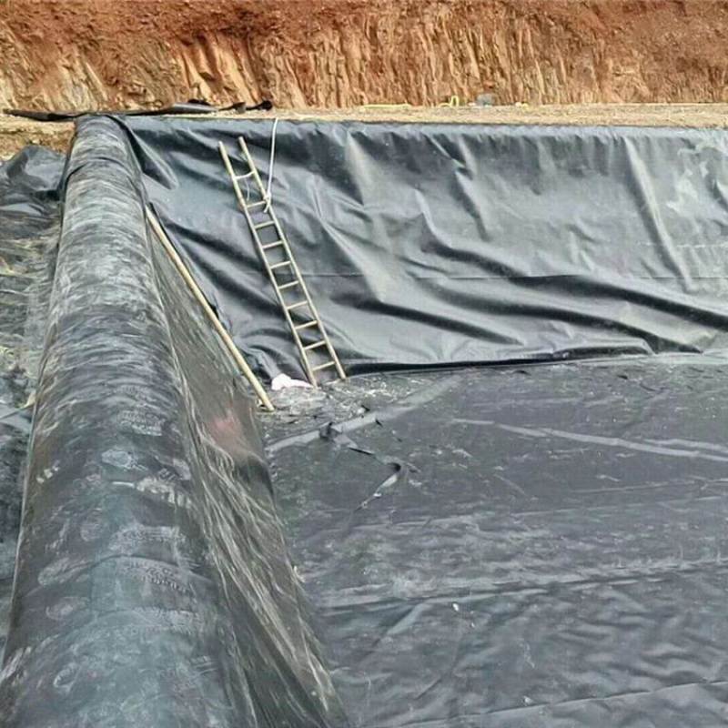 黑色防渗膜黑色塑料薄膜养殖膜鱼塘专用膜防渗膜加厚防水膜