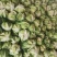 白花菜花紧花乳白1~3斤量大从优
