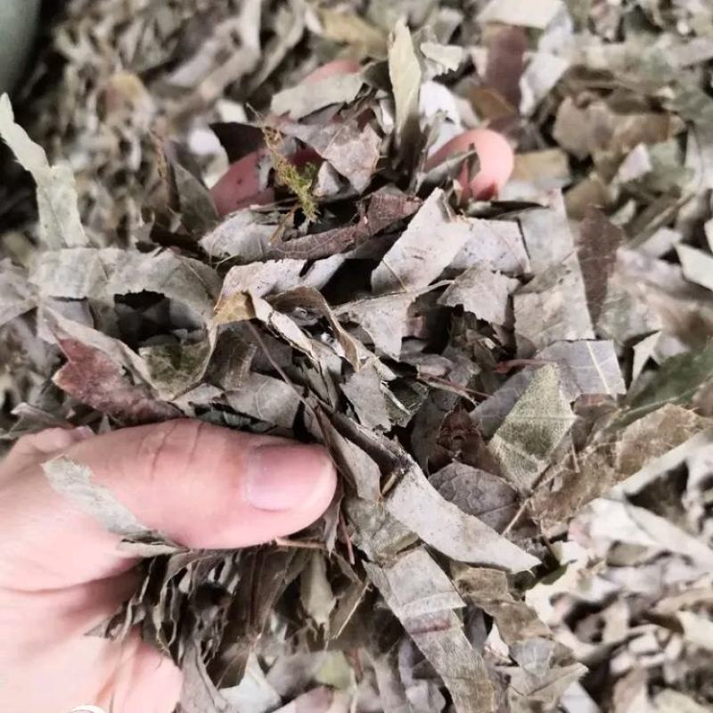 淫羊藿选新货陕西货关书药业批发中药材规格齐全