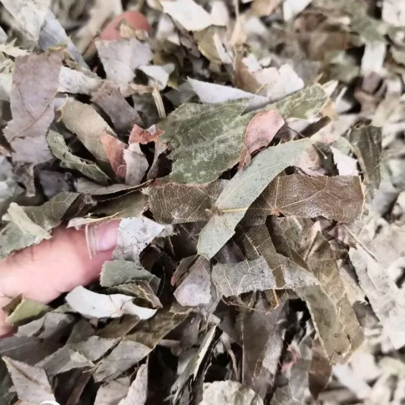 淫羊藿选新货陕西货关书药业批发中药材规格齐全